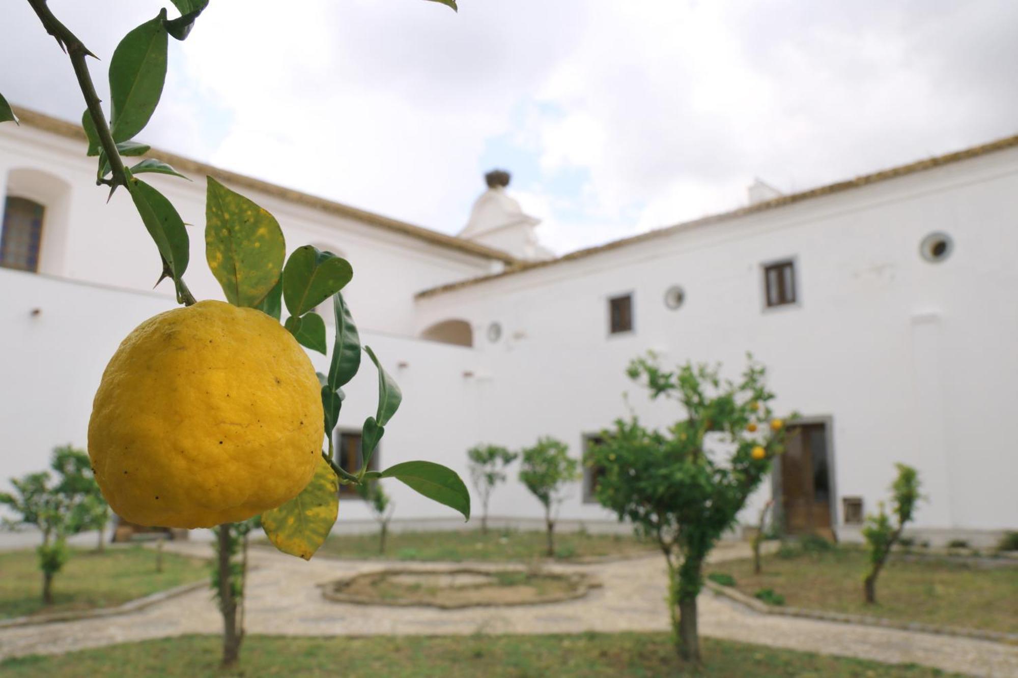 Convento Da Orada - Monsaraz Guest House Luaran gambar